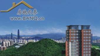 住宅新时代 的资产布局,银湖蓝山为远见者准备