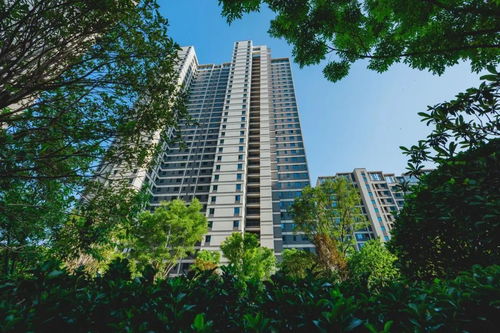 房企交付报告 企业篇 旭辉集团 坚守 保交付 底线,上半年交房5.5万套