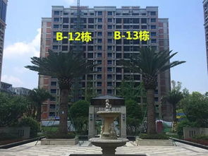 立城置业 8月刊,立城 香韵华府产品新鲜出炉