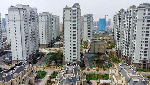 惠在端午 曹县这个品质红盘重磅惊喜来袭