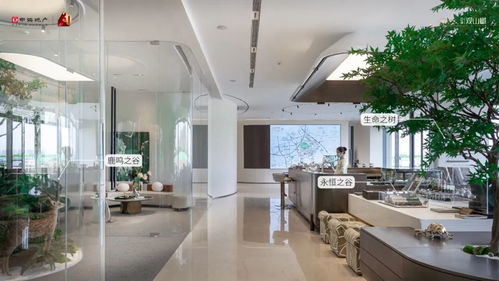 观山樾价值谈 这一次,我们为什么一定要进化