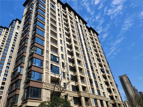 改善置业抓紧了 一线揽湖原墅仅40套 产品力刷新认知