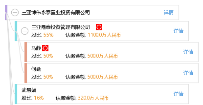 三亚博伟永泰置业投资
